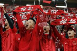 开云体育在线-国内足球比赛促进足球文化传承