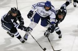 开云APP-黄蜂鏖战公牛，德甲争冠战焦点战的战术博弈与历史回响