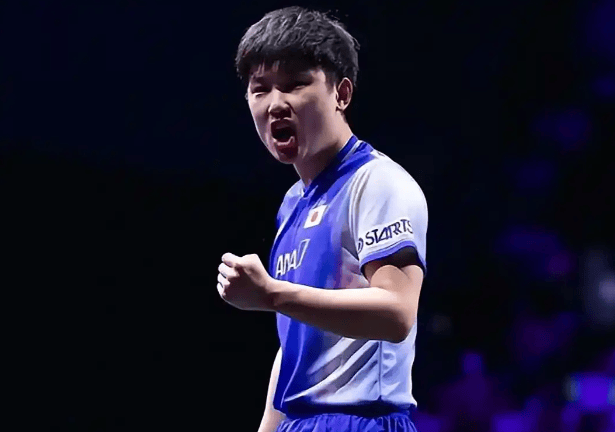 关于法国乒乓球队碾压英国乒乓球队，张本智和高光表现的信息