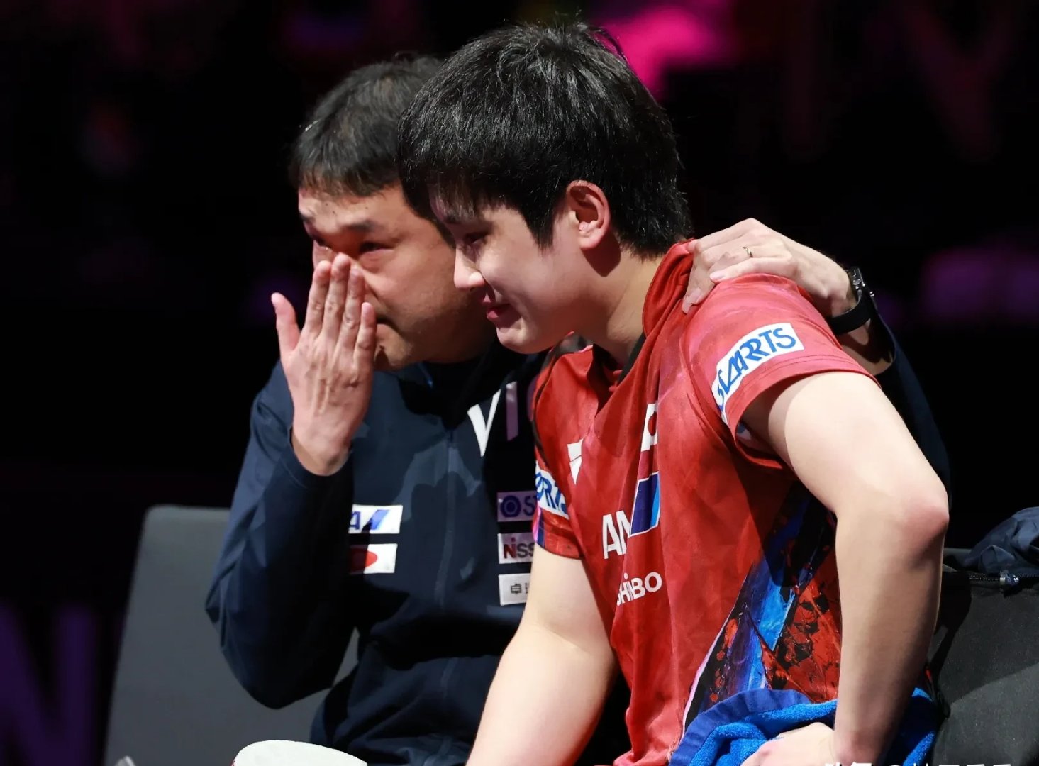 奥地利队险胜韩国队，张本智和状态火热的简单介绍