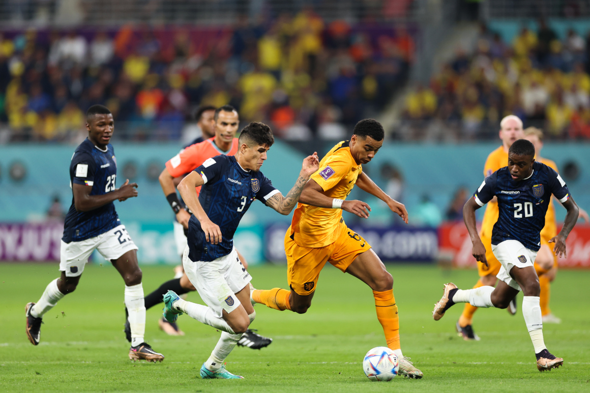 包含荷兰国家队逆转取胜，稳定发挥的词条