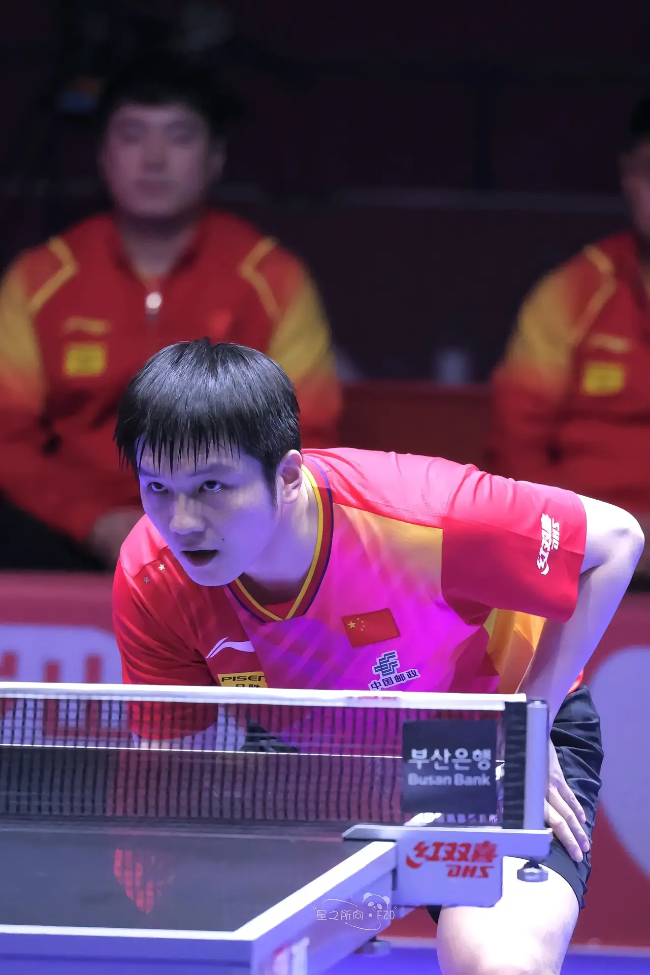 英国乒乓球队力克奥地利乒乓球队，张继科打破历史纪录的简单介绍