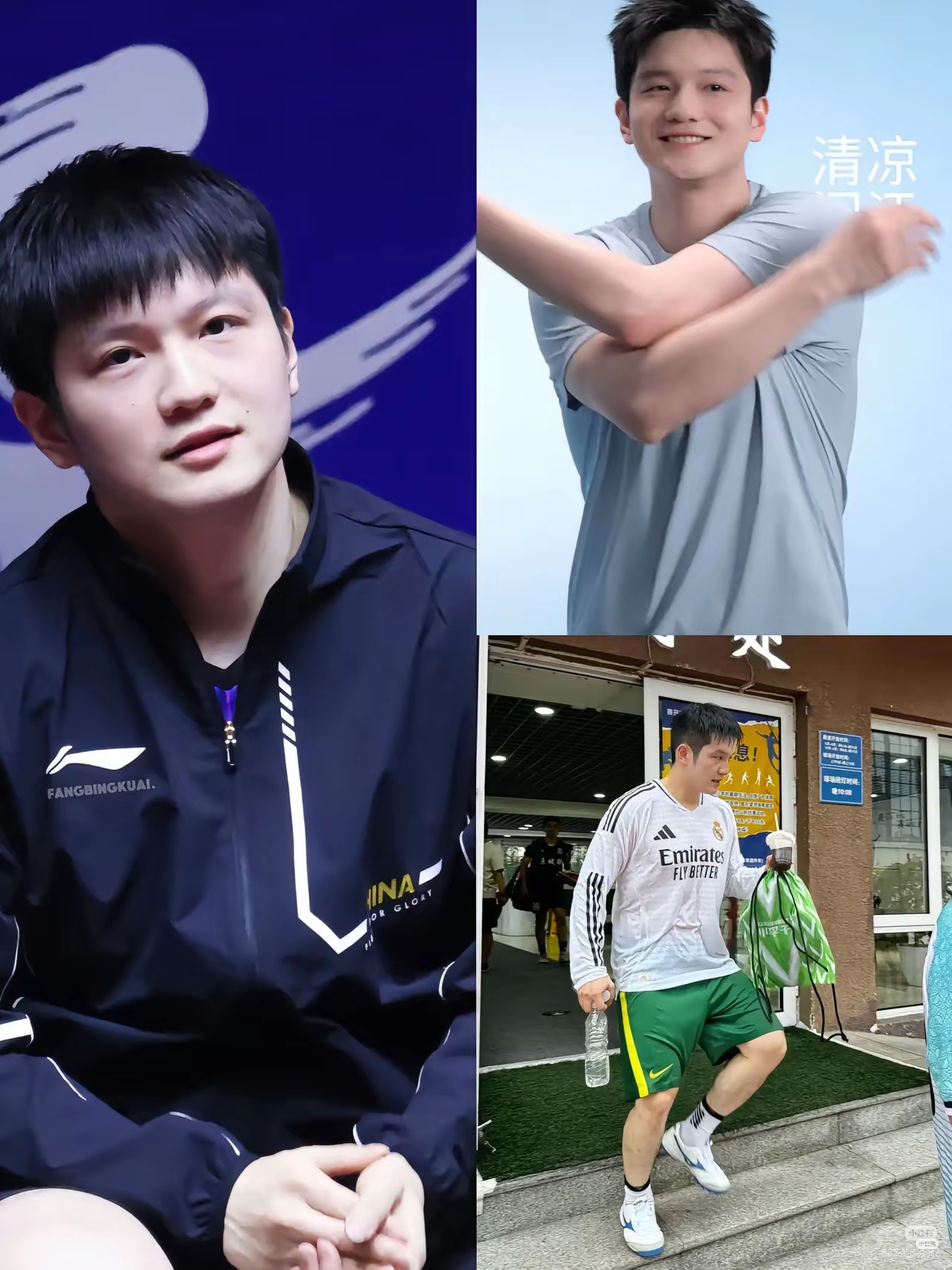 包含瑞典队横扫英格兰队，樊振东惊艳四座的词条