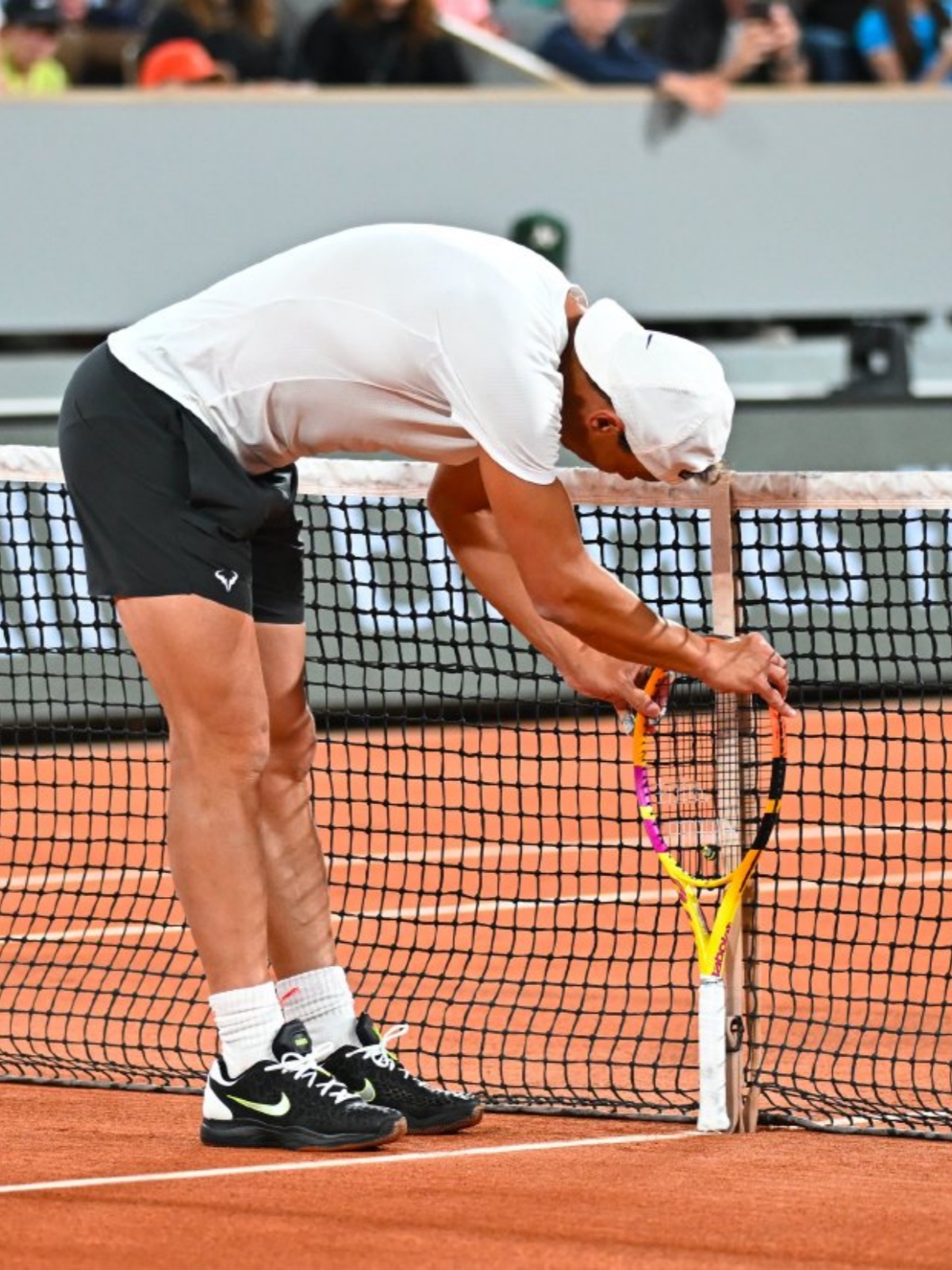 关于法国网球队完胜欧洲网球队，纳达尔送出助攻的信息