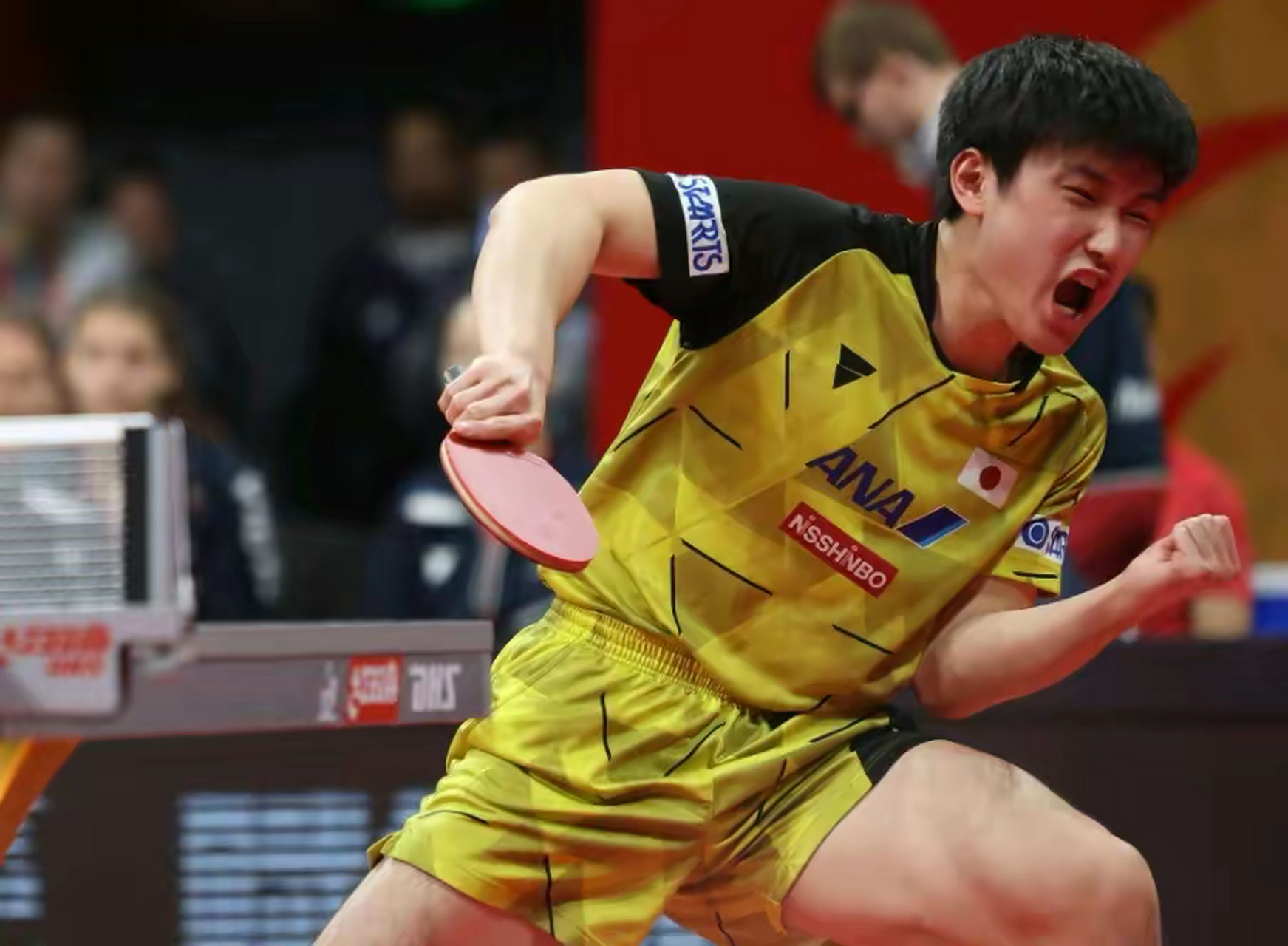 包含韩国乒乓球队翻盘奥地利乒乓球队，张本智和制霸全场的词条