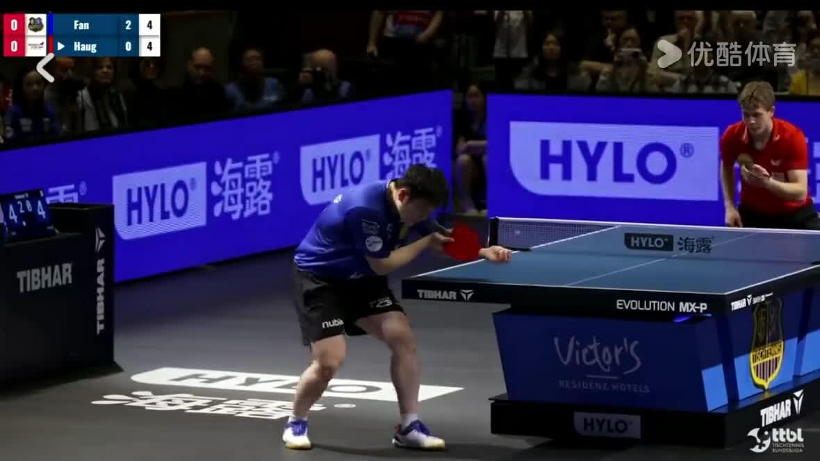 英国乒乓球队完胜德国乒乓球队，樊振东制霸全场的简单介绍