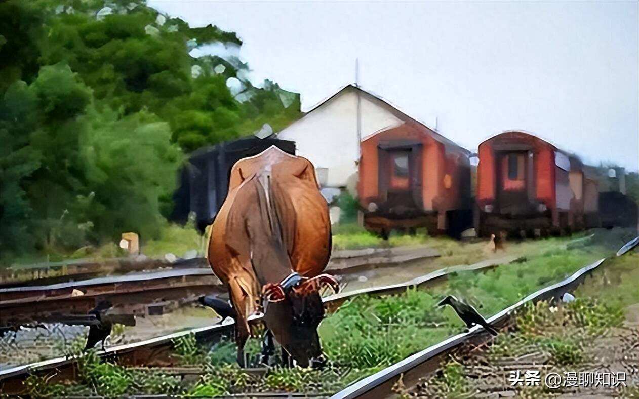 印度队碾压丹麦队，辛杜统治全场