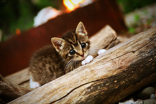 加克波爆发破局,巴拉圭节奏大师掌控哥斯达黎加