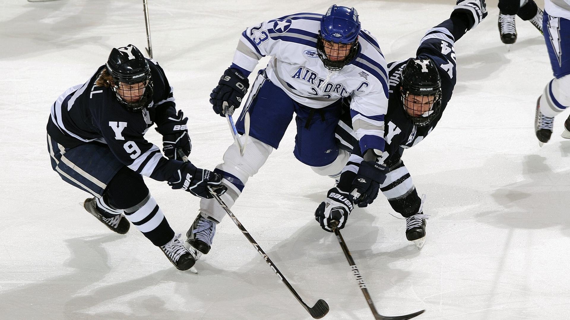 黄蜂鏖战公牛，德甲争冠战焦点战的战术博弈与历史回响